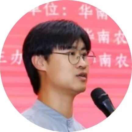 小黄书