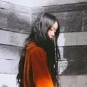 小黄书