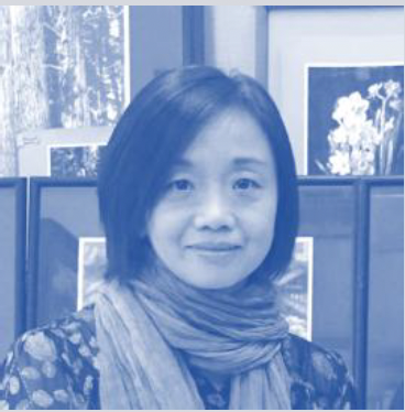 小黄书