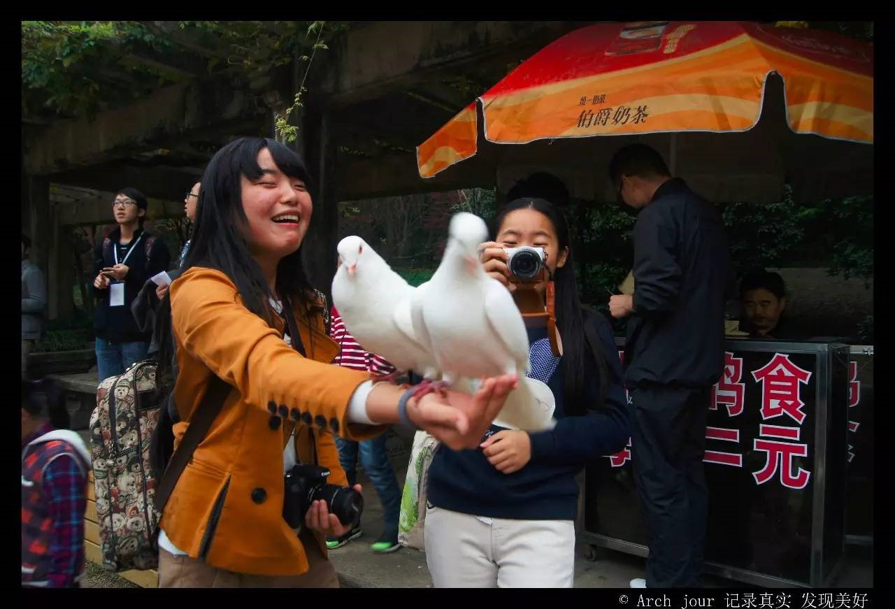 小黄书