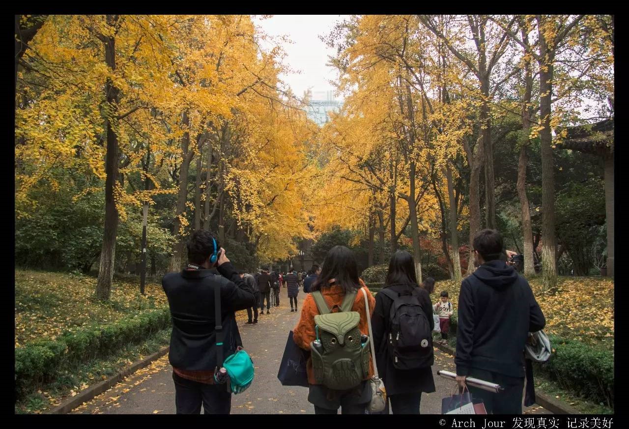 小黄书